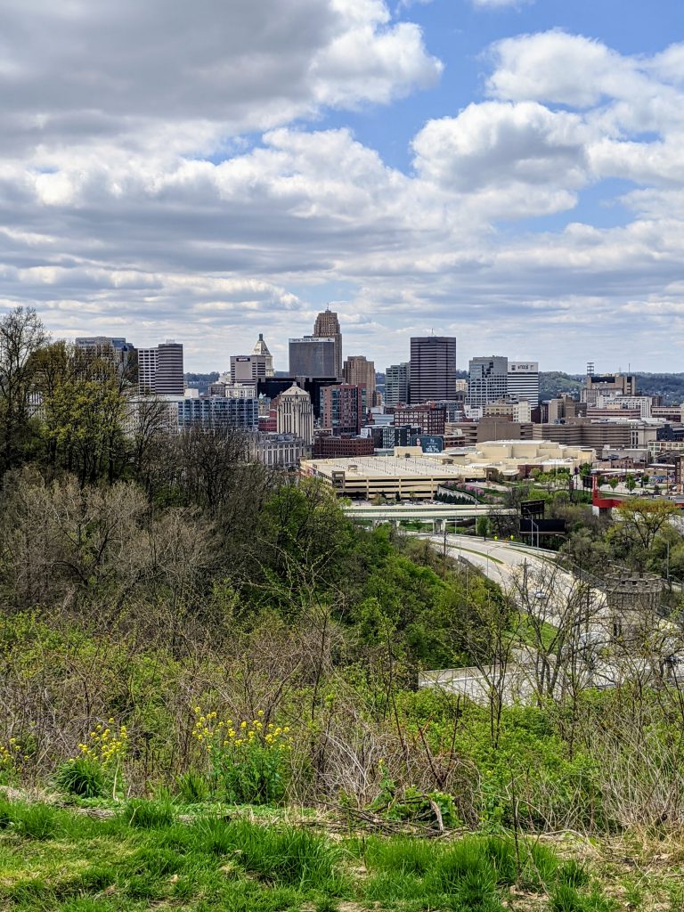 Downtown from Cincinnati Art Museum