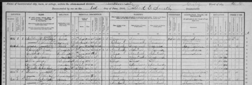 1900 Census Sample page